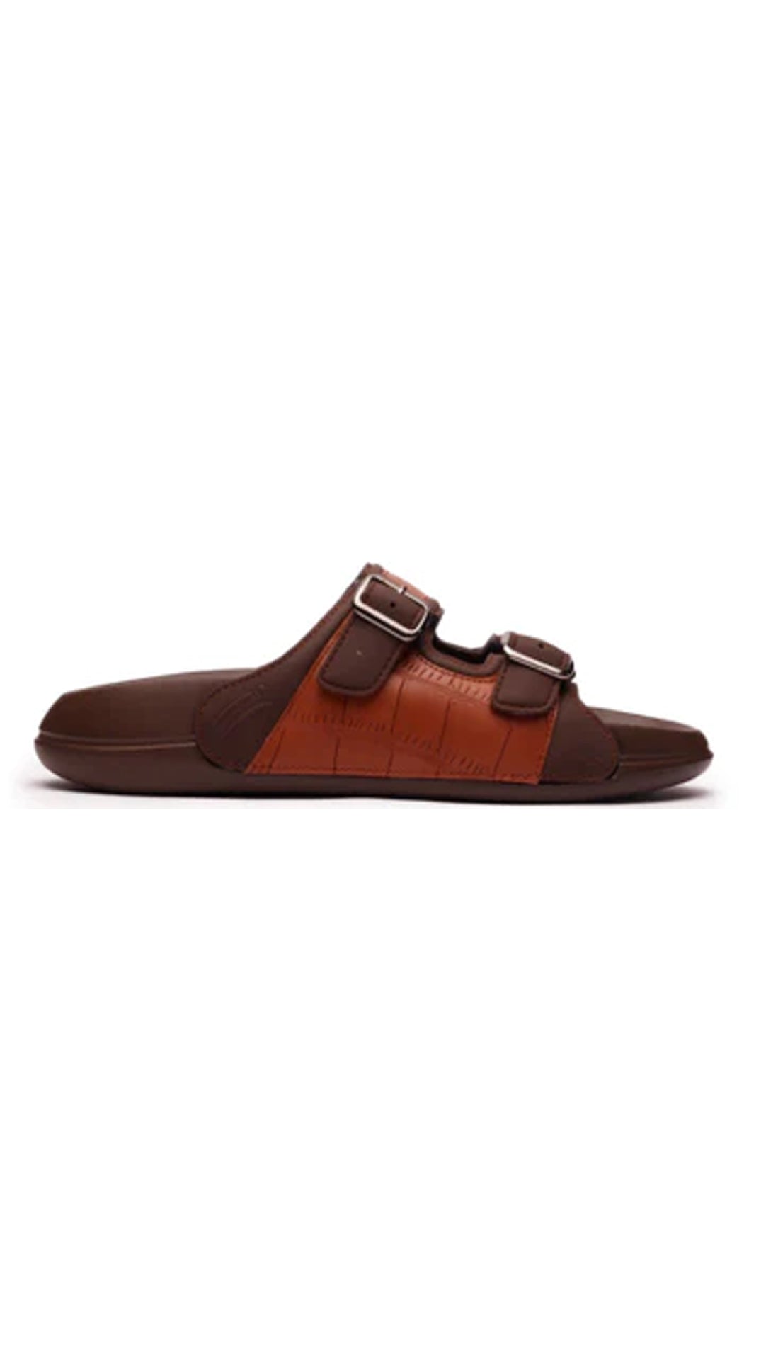 Monarch – Brown